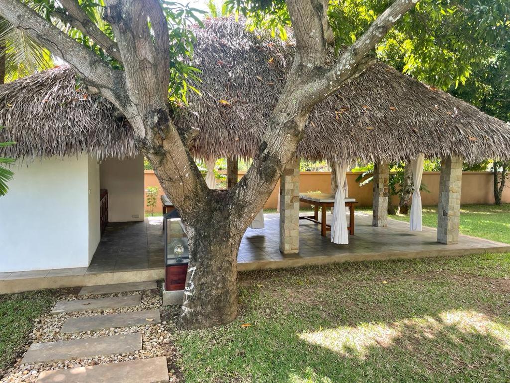 Anki Lodge Nosy-Be Bagian luar foto